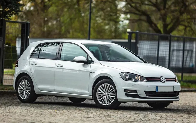 lubuskie Volkswagen Golf cena 35900 przebieg: 181000, rok produkcji 2015 z Dzierżoniów